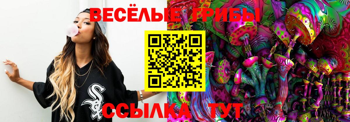 Псилоцибиновые грибы ЛСД Тайшет
